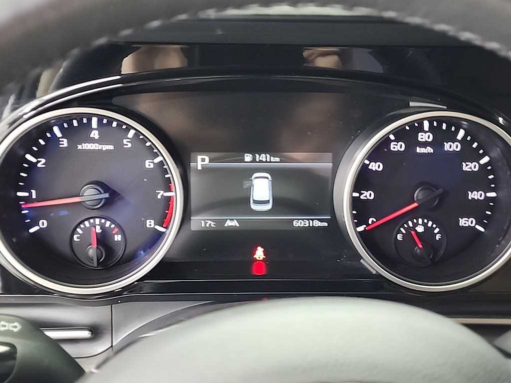 KIA Carnival - Vista 6