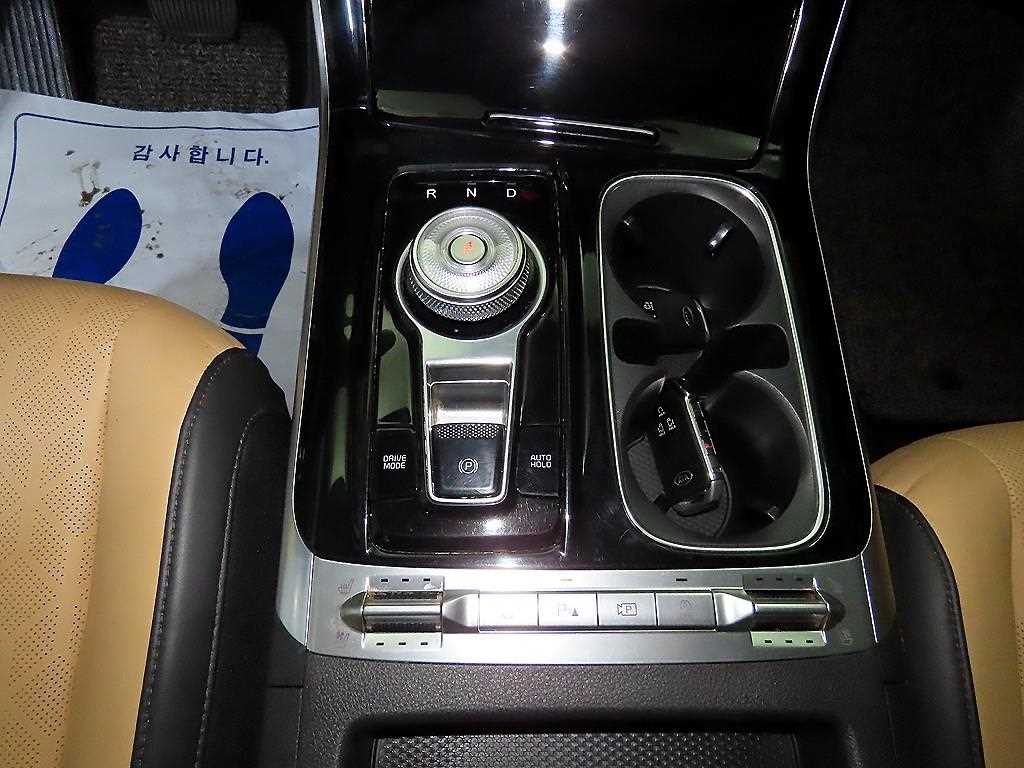 KIA Carnival - Vista 12