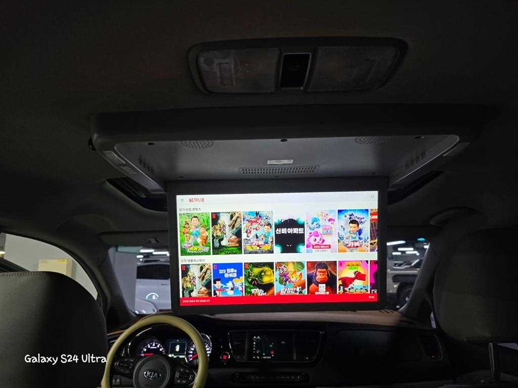 KIA Carnival - Vista 10