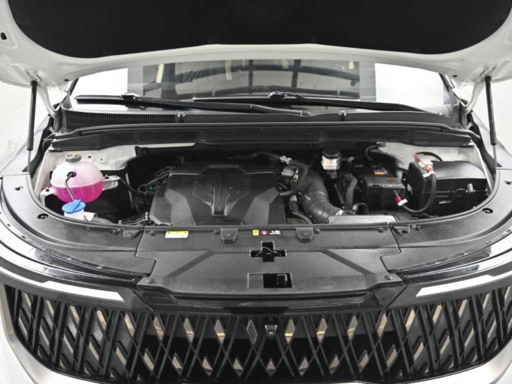 KIA Carnival - Vista 6