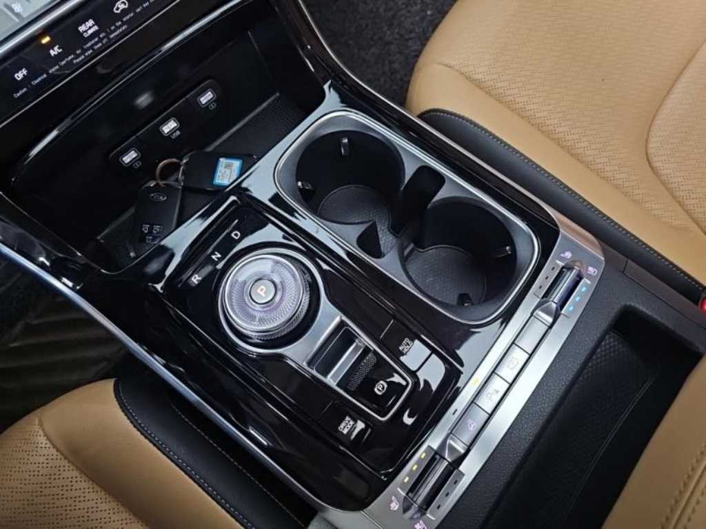 KIA Carnival - Vista 12