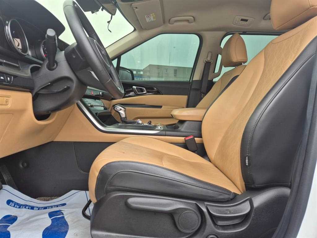 KIA Carnival - Vista 6