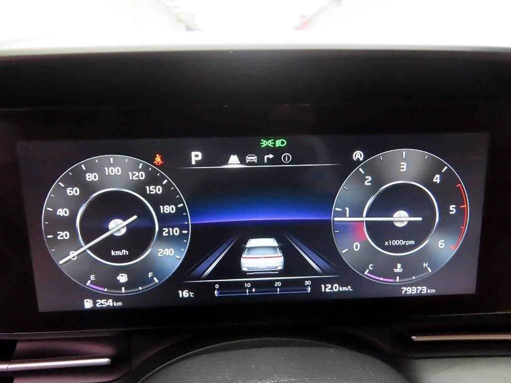 KIA Carnival - Vista 6