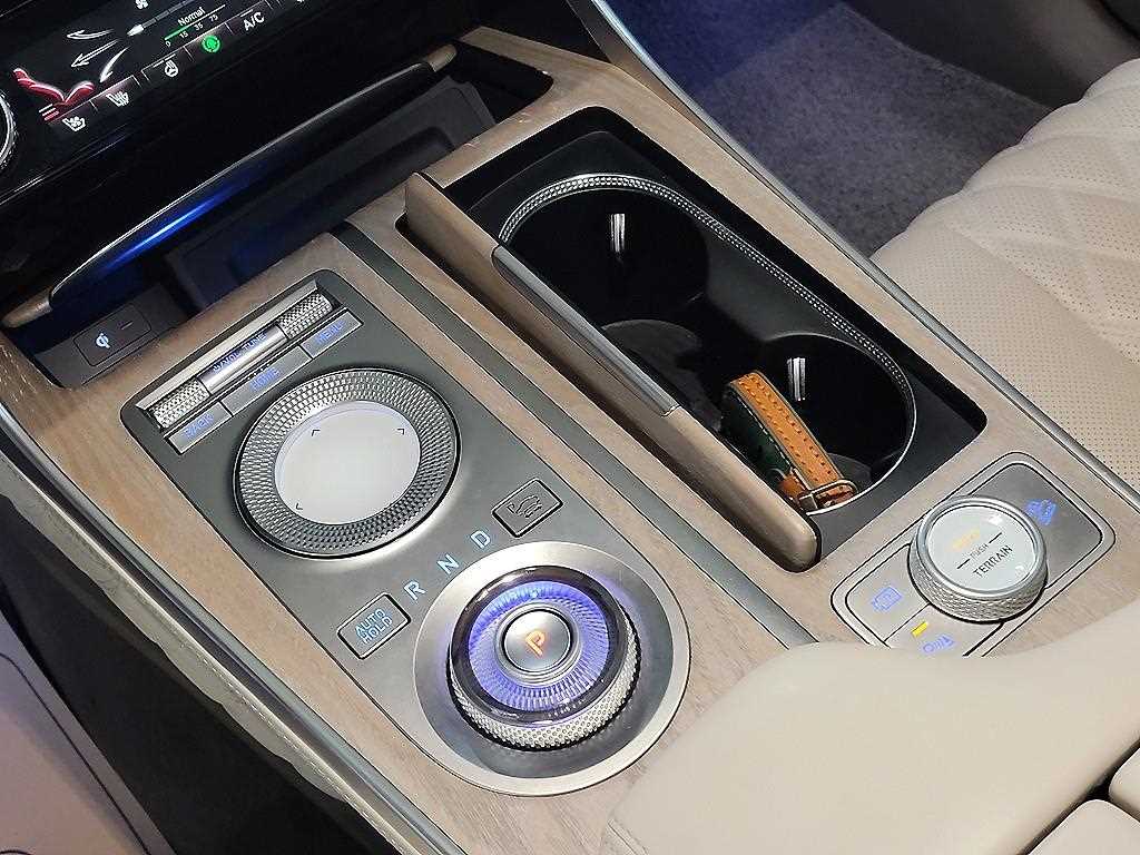 Genesis GV80 - Vista 12