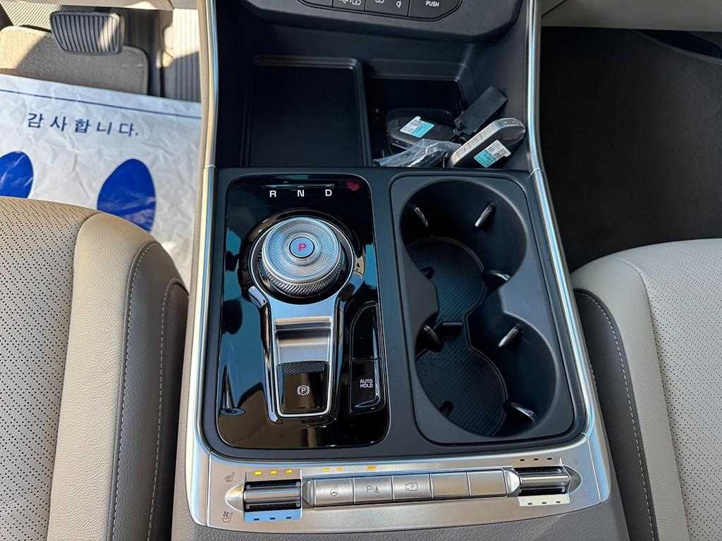 KIA Carnival - Vista 11