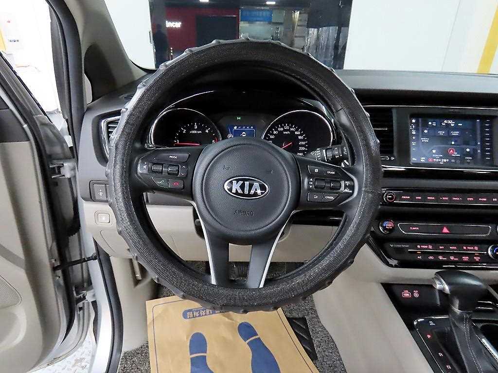 KIA Carnival - Vista 9