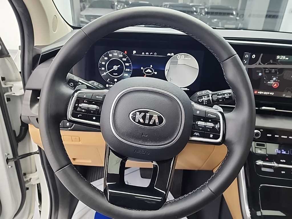 KIA Carnival - Vista 9