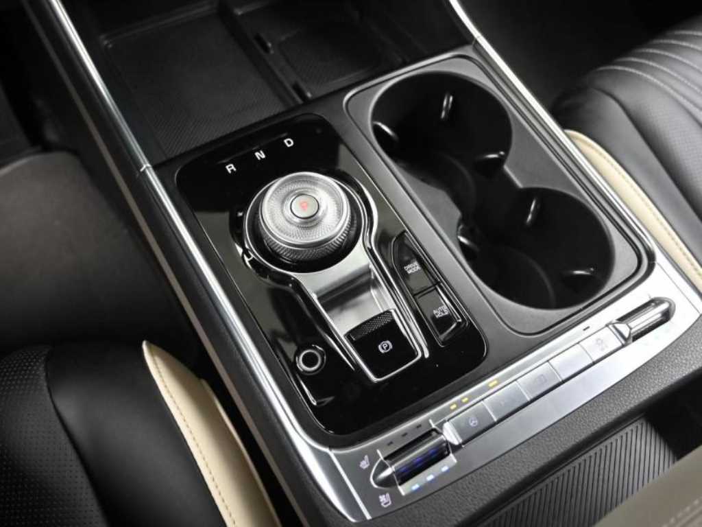 KIA Carnival - Vista 9