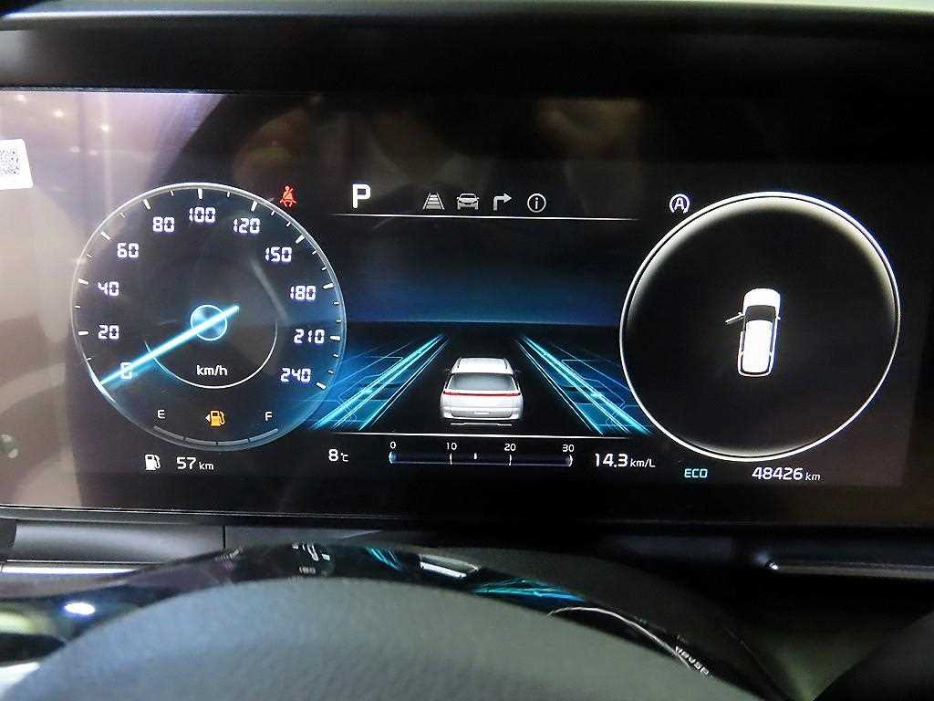 KIA Carnival - Vista 9