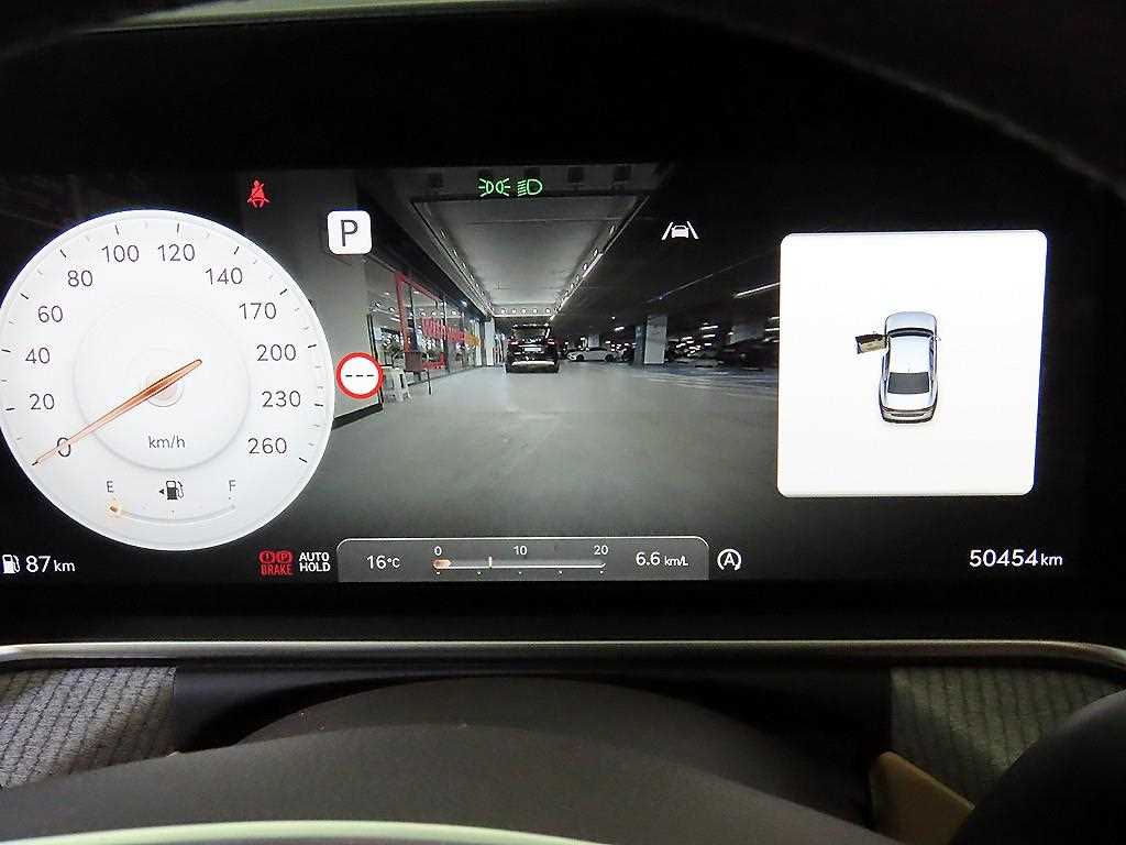 Genesis G90 - Vista 9