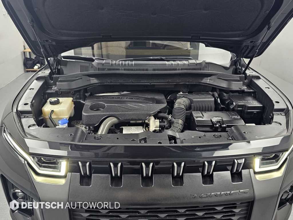 Ssangyong Torres - Vista 6