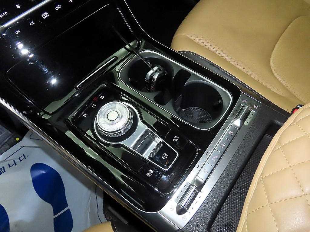 KIA Carnival - Vista 12