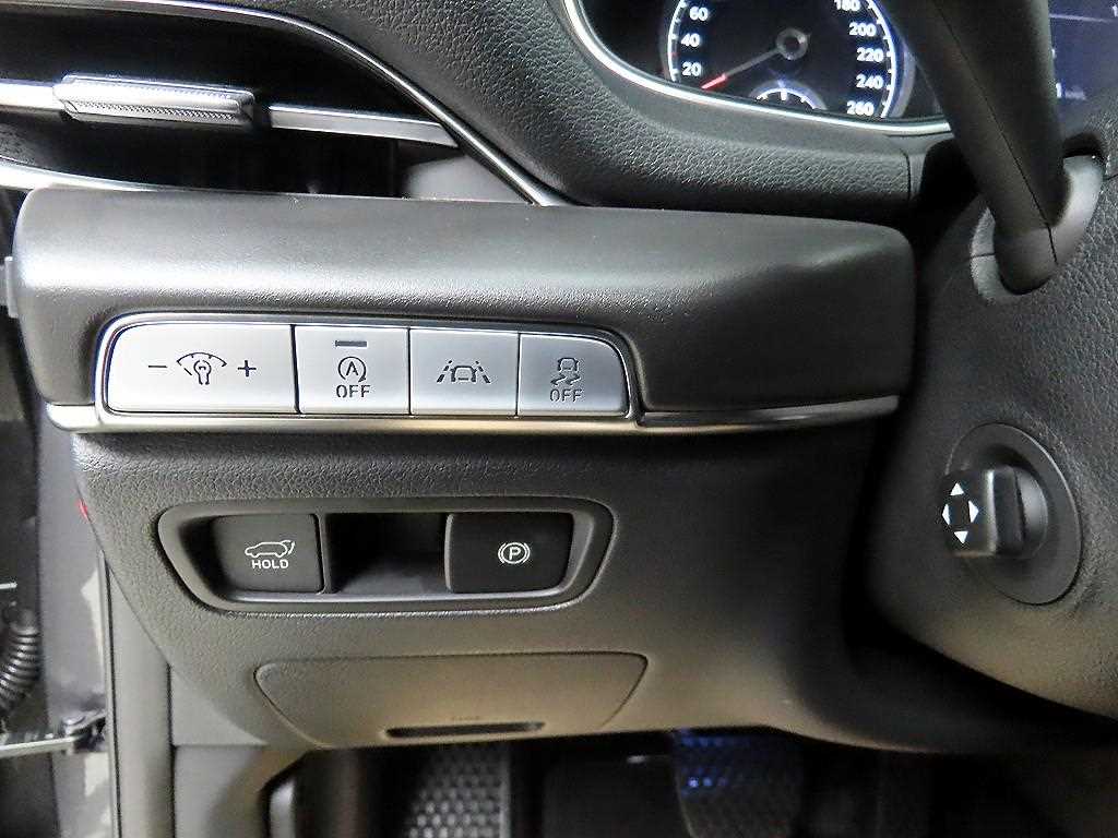 Genesis GV80 - Vista 12