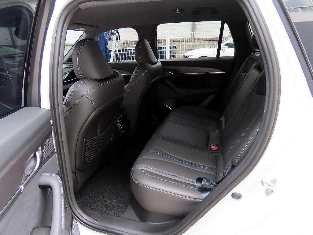 SAMSUNG Grand Koleos - Vista 6