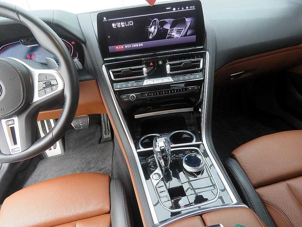 BMW 8 Series - Vista 11