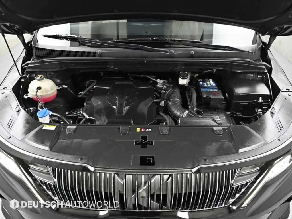 KIA Carnival - Vista 6