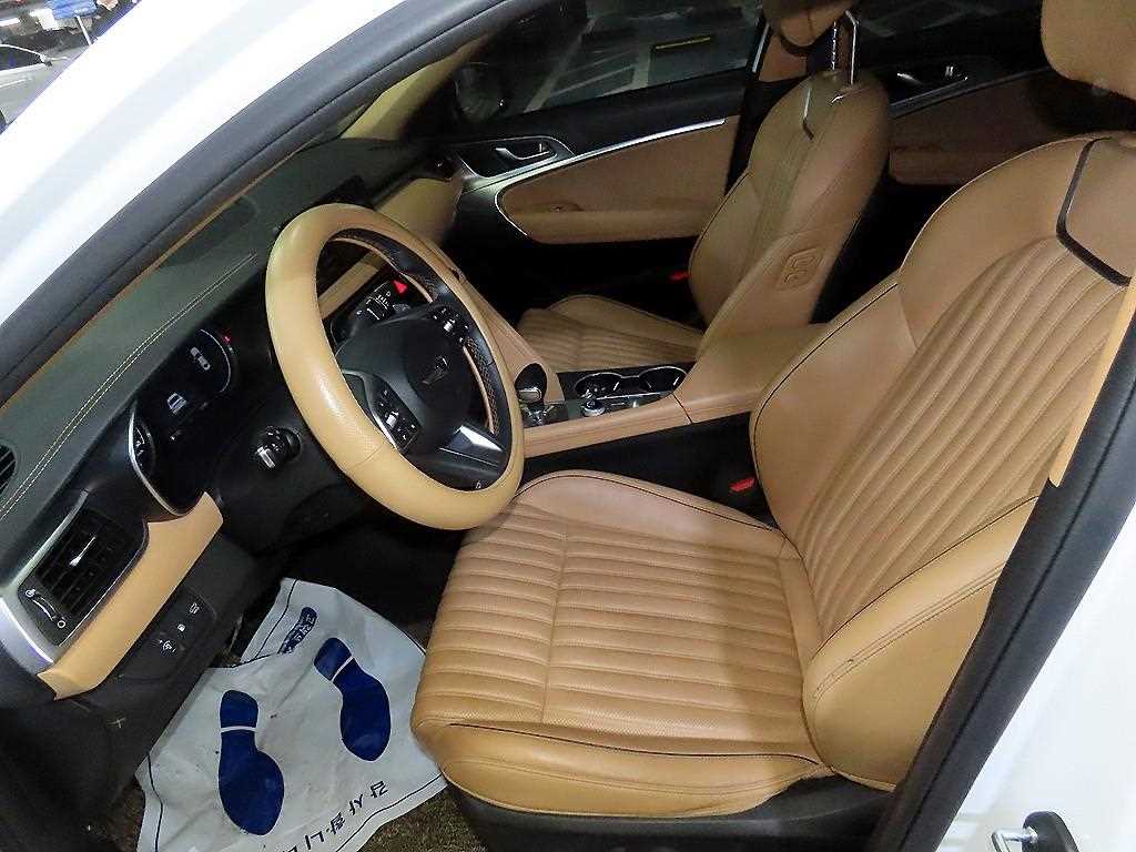 Genesis G70 - Vista 6