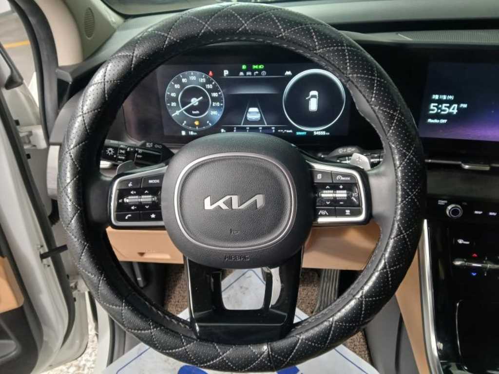 KIA Carnival - Vista 8