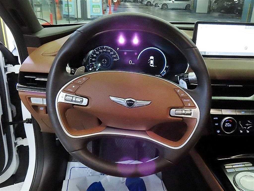 Genesis G80 - Vista 8