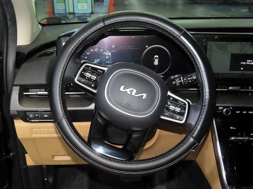 KIA Carnival - Vista 8