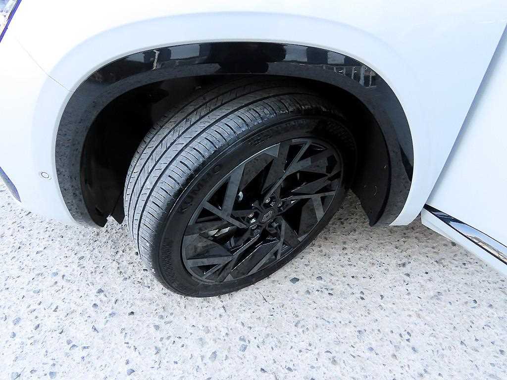 SAMSUNG Grand Koleos 2025 Blanco - Importación desde Corea - HF Imports Iquique - Foto 20