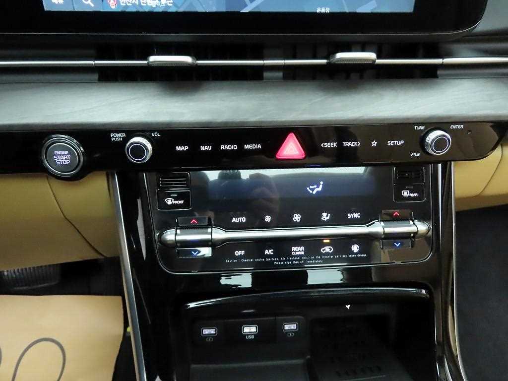 KIA Carnival - Vista 9