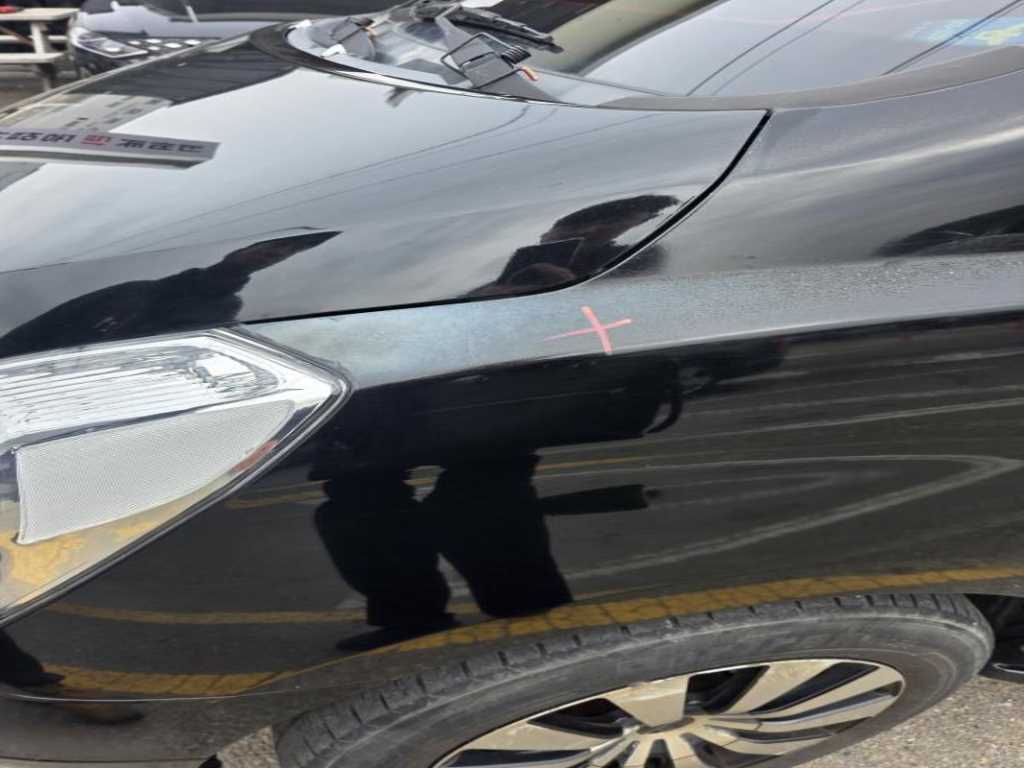 HYUNDAI Starex - Vista 5