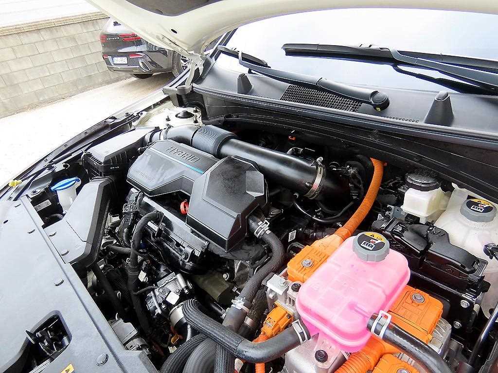 KIA Sportage 2023 Blanco - Importación desde Corea - HF Imports Iquique - Foto 19