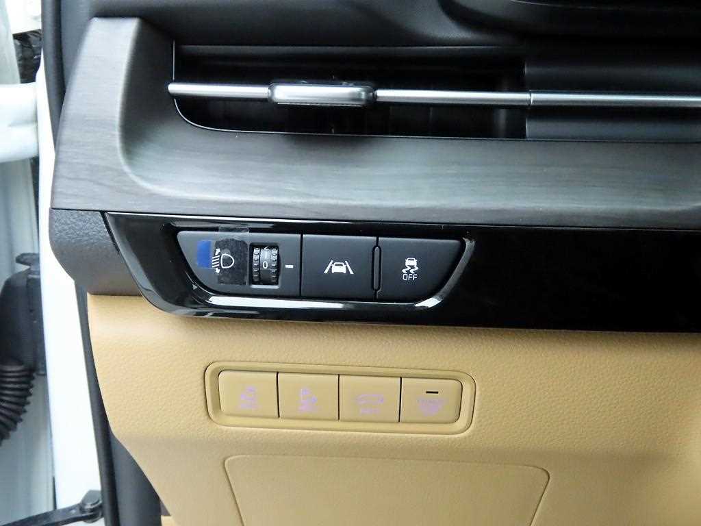 KIA Carnival - Vista 12