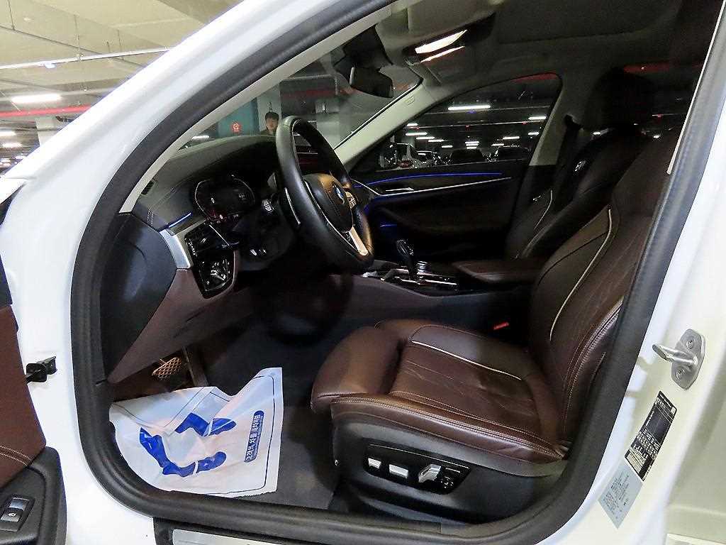 BMW 5 Series - Vista 5