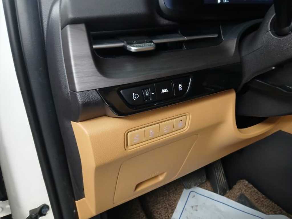 KIA Carnival - Vista 11