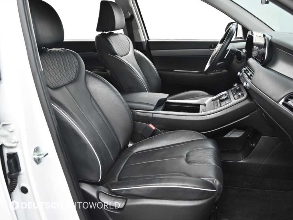 HYUNDAI Palisade - Vista 10