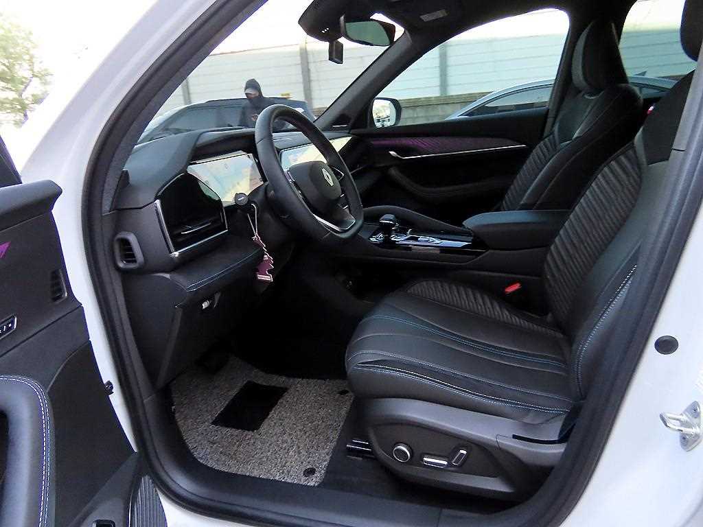 SAMSUNG Grand Koleos - Vista 5