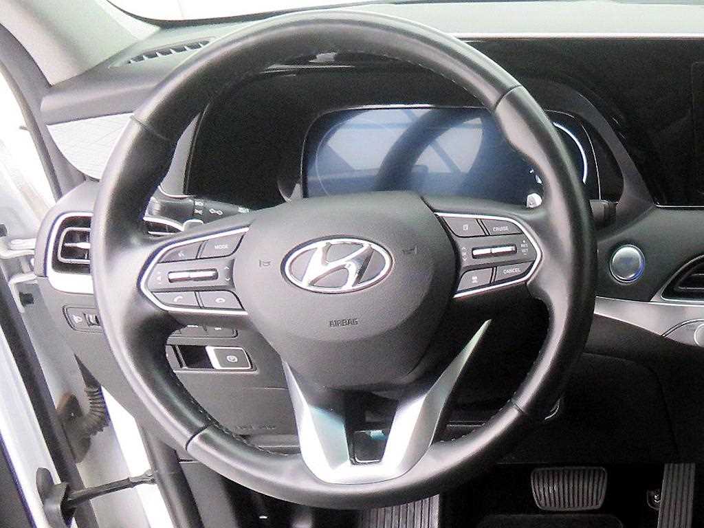 HYUNDAI Palisade - Vista 10