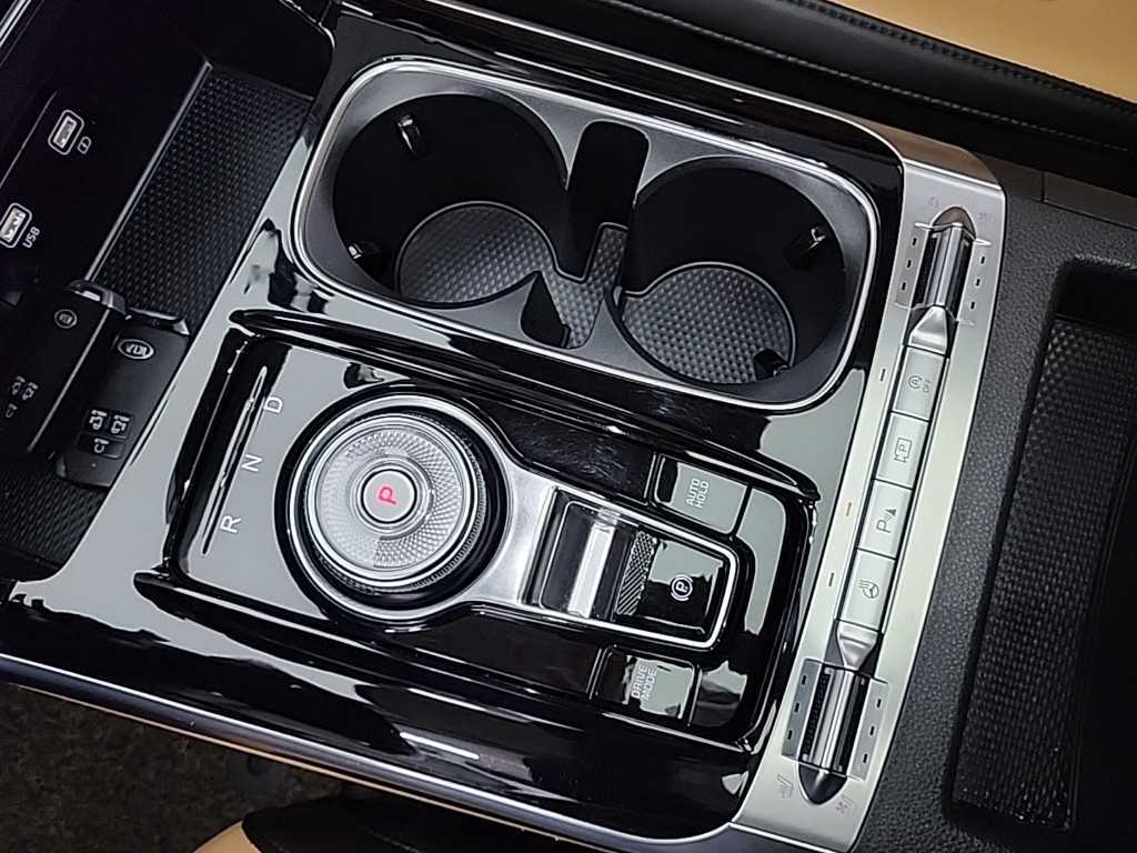 KIA Carnival - Vista 8