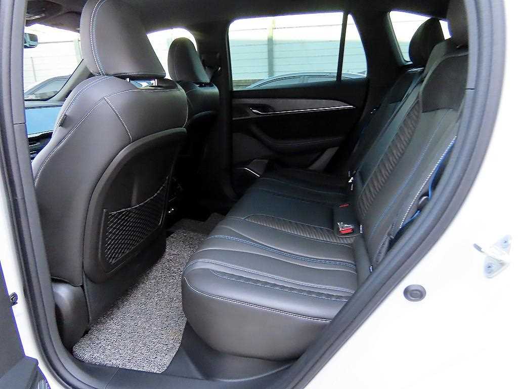 SAMSUNG Grand Koleos - Vista 6