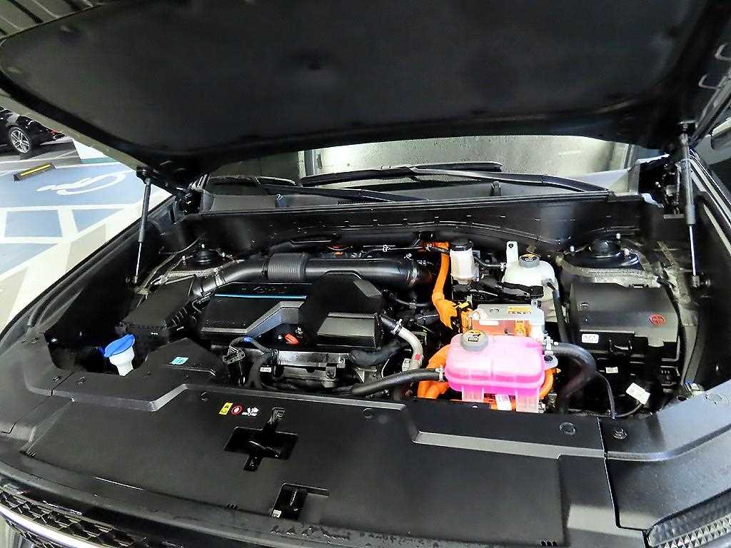 HYUNDAI Santa Fe 2024 Negro - Importación desde Corea - HF Imports Iquique - Foto 19