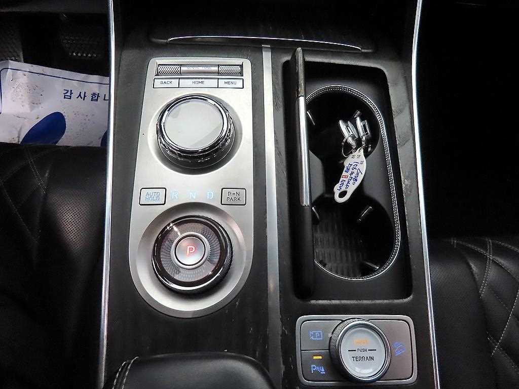 Genesis GV80 - Vista 10