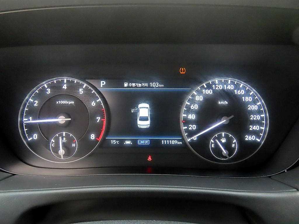 Genesis G90 - Vista 9