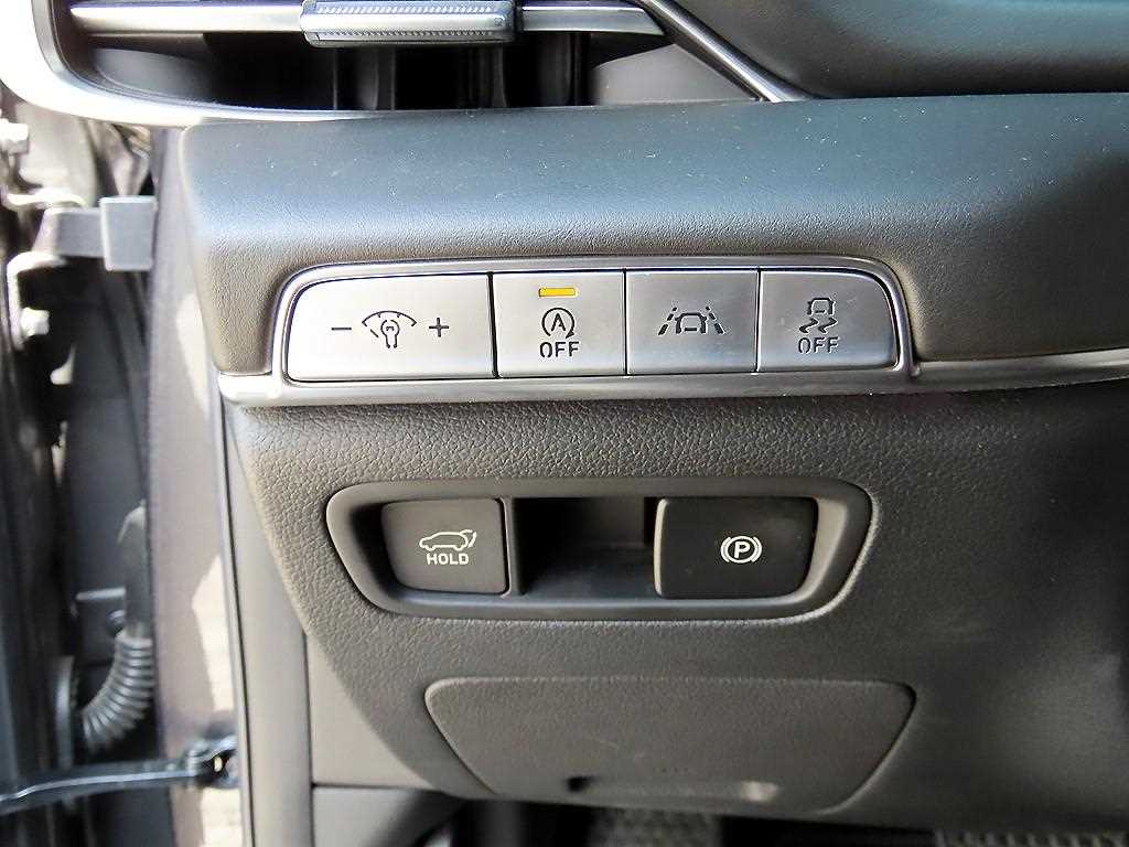 Genesis GV80 - Vista 12