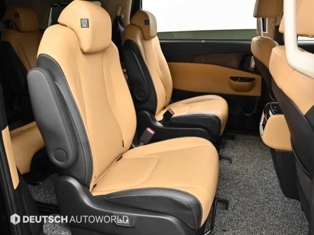 KIA Carnival - Vista 12