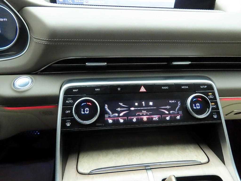 Genesis GV80 - Vista 10