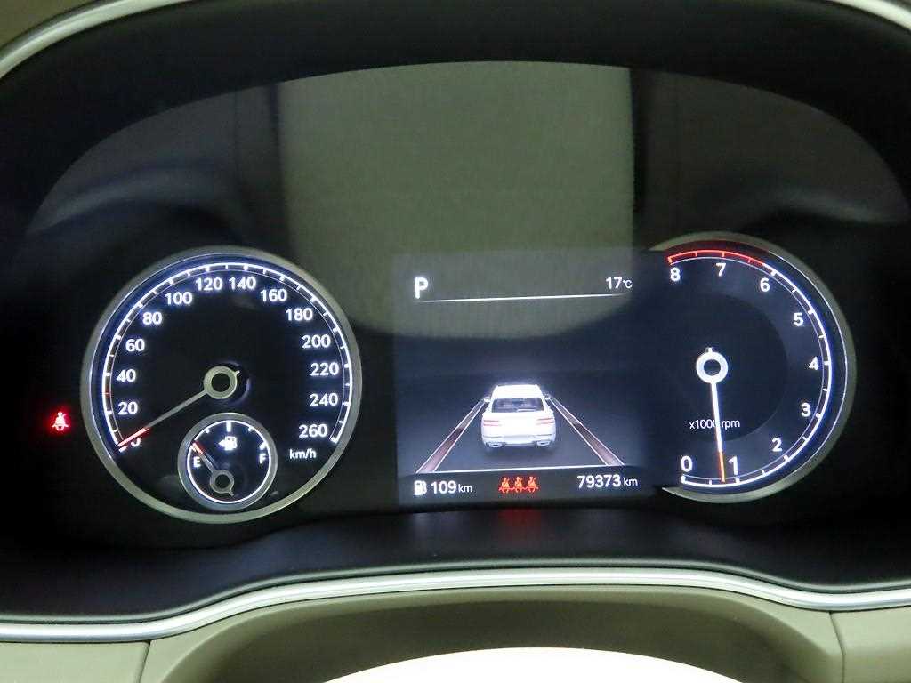 Genesis GV80 - Vista 6