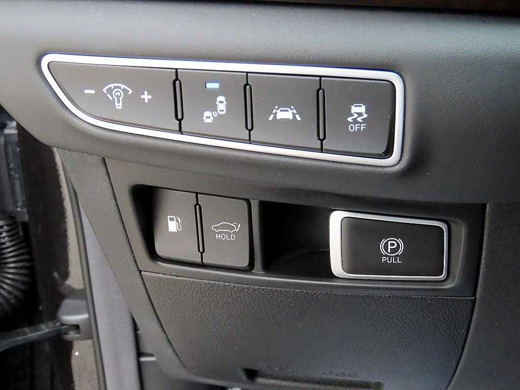 Genesis G90 - Vista 12