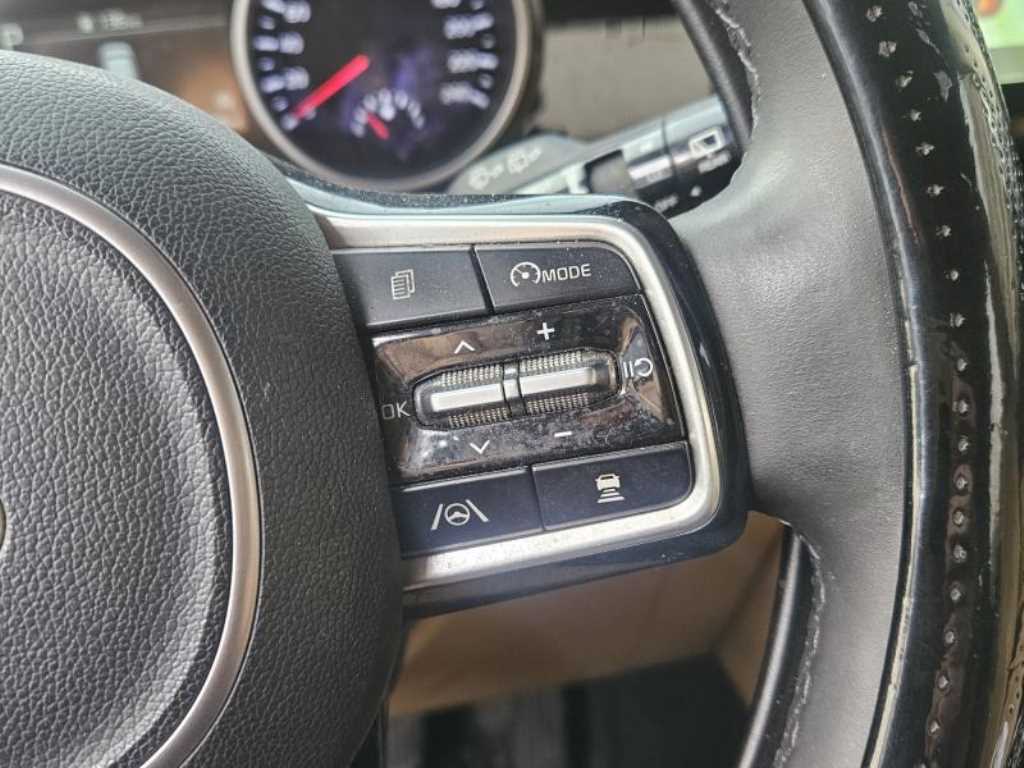 KIA Carnival - Vista 4