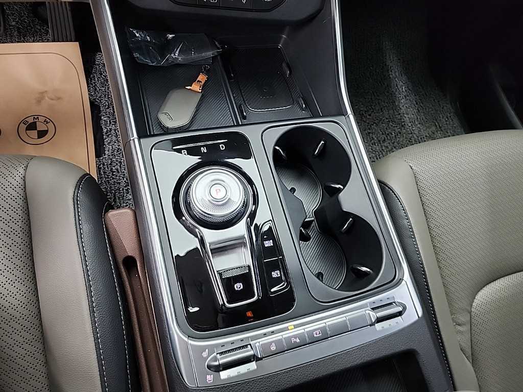 KIA Carnival - Vista 8