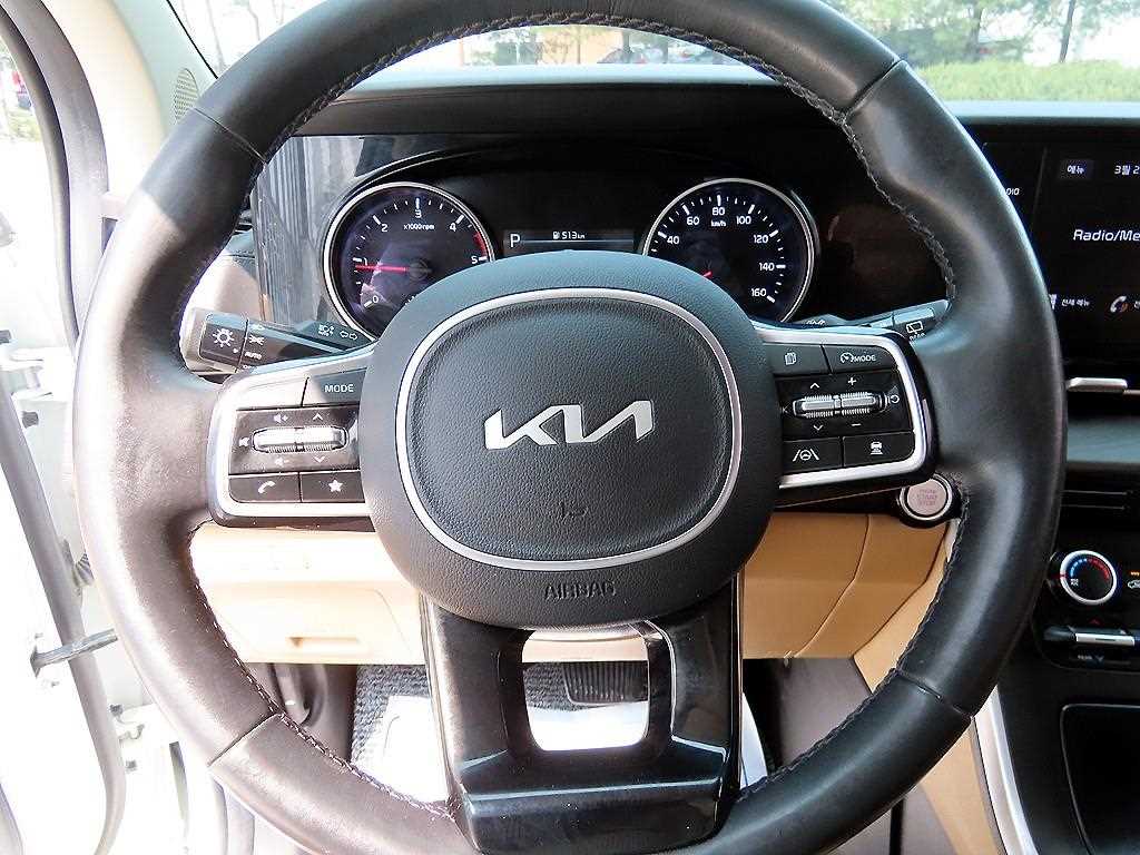 KIA Carnival - Vista 9