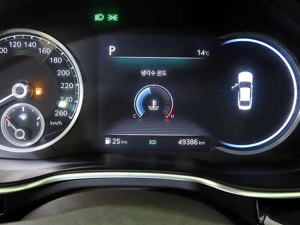 Genesis G80 - Vista 9