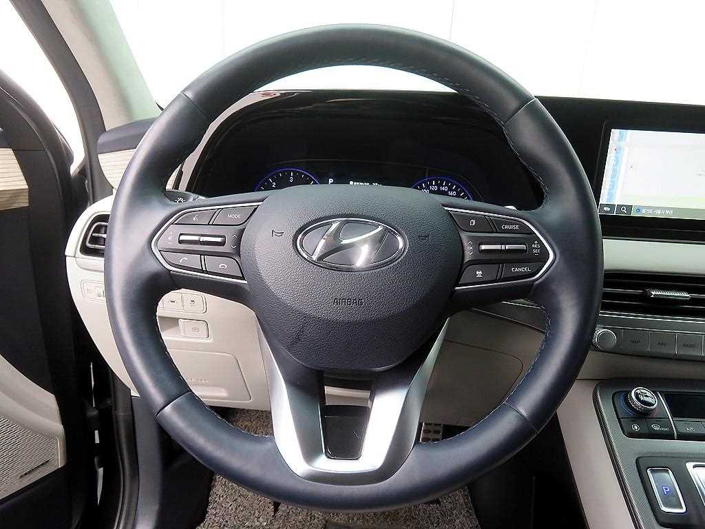 HYUNDAI Palisade - Vista 10