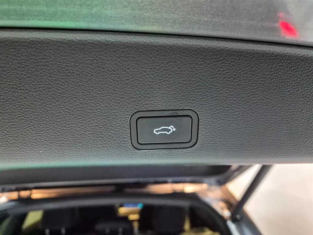 SAMSUNG Grand Koleos - Vista 6